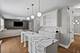 431 Cardinal, Bolingbrook, IL 60490