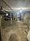 1445 W Lexington, Chicago, IL 60607