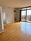 1111 S Wabash Unit 909, Chicago, IL 60605