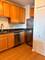 1111 S Wabash Unit 909, Chicago, IL 60605