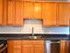 1111 S Wabash Unit 909, Chicago, IL 60605