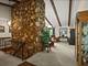 650 Coolidge, Rockford, IL 61107