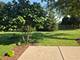 1223 Wales, Shorewood, IL 60404
