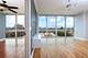 1845 S Michigan Unit 904, Chicago, IL 60616