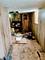 7533 S Ellis, Chicago, IL 60619