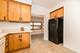 6716 N Octavia, Chicago, IL 60631