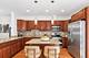 1192 Clarence Unit 7, Oak Park, IL 60304