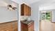 21311 Silktree Unit 0, Plainfield, IL 60544