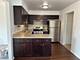 4537 Maple Unit 2S, Brookfield, IL 60513