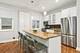 1021 N Winchester Unit 1, Chicago, IL 60622