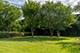 16419 Oxford, Markham, IL 60428