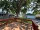 9243 Lynwood, Oak Lawn, IL 60453