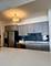 1143 S Plymouth Unit 501, Chicago, IL 60605
