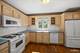 534 Ryan, West Dundee, IL 60118