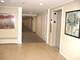 2020 Chestnut Unit 406, Glenview, IL 60025