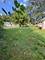 1529 Sycamore, Ottawa, IL 61350