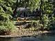 21 E Hillside, Naperville, IL 60540