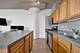 1525 S Sangamon Unit 315P, Chicago, IL 60608