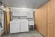 12540 W Hampshire, Homer Glen, IL 60491