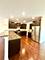 38 Neri, Schaumburg, IL 60194