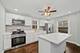 11325 S Avenue H, Chicago, IL 60617