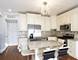 1411 W Harrison, Chicago, IL 60607