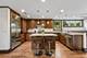 1225 N Grove, Oak Park, IL 60302