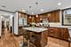 1225 N Grove, Oak Park, IL 60302