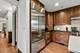 1225 N Grove, Oak Park, IL 60302