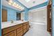 10325 S Whipple, Chicago, IL 60655