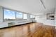 88 W Schiller Unit 2808L, Chicago, IL 60610