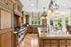 51 Ford, Naperville, IL 60565