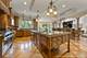 51 Ford, Naperville, IL 60565
