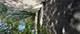 1920 Moore, Joliet, IL 60433