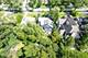 22 Arthur, Clarendon Hills, IL 60514