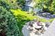 22 Arthur, Clarendon Hills, IL 60514
