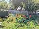 1350 Northgate, Bartlett, IL 60103