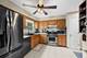 743 Delphia, Elk Grove Village, IL 60007