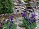 24092 W Old Oak, Mundelein, IL 60060