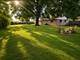 6925 Elder, Bridgeview, IL 60455