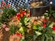 1610 W Carmen, Chicago, IL 60640