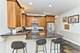 4222 S King Unit 1S, Chicago, IL 60653
