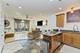 4222 S King Unit 1S, Chicago, IL 60653