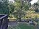 1116 Stratford, Algonquin, IL 60102
