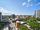1255 N Sandburg Unit 1411, Chicago, IL 60610