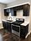 8153 S South Shore, Chicago, IL 60617