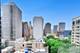 21 W Goethe Unit 10L, Chicago, IL 60610