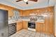 10538 Central Unit 1-S, Chicago Ridge, IL 60415
