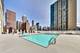 1122 N Clark Unit 2404, Chicago, IL 60610