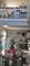 15709 Chesterfield, Orland Park, IL 60462